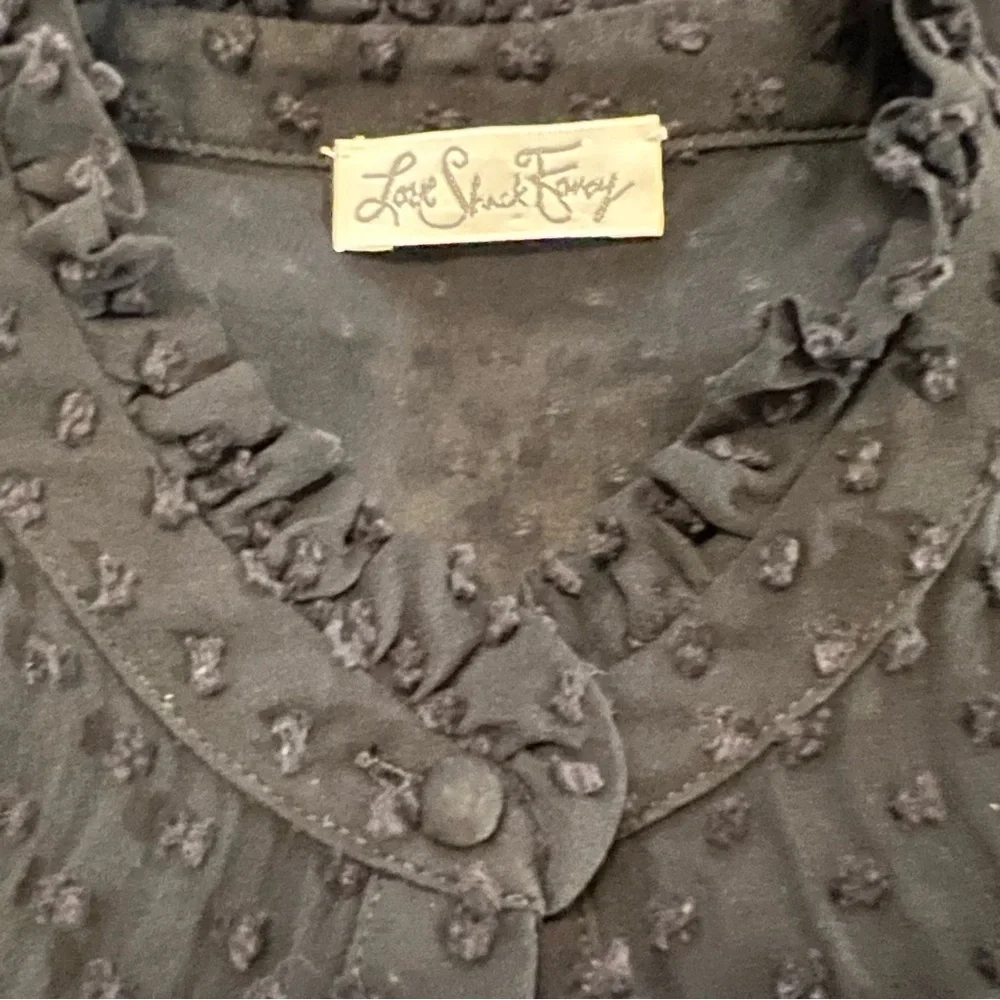 LoveShackFancy Erica SWISS DOT HIGH NECK LACE BLOUSE Ruffled Button Front Sheer - Picture 14 of 16